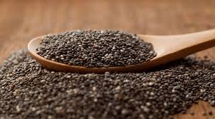 What are Chia Seeds?